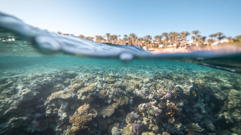 Four Seasons Resort Sharm El Sheikh Private Residential Villa & Chalet - Egypt Εξωτερικό φωτογραφία
